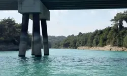 DSİ Çukurova Çiftçisine Su Vermeyecek!