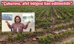 “AFET BÖLGESİ İLAN EDİLSİN”