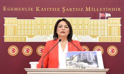 “Deprem raporları tozlu raflardan indirilsin”