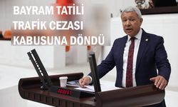 TRAFİK DENETİMİ Mİ, CEZALANDIRMA MI?
