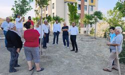 Yumurtalık Belediyesi Harıl Harıl Çalışıyor