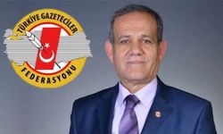 Bu Kararlar Yerel Basını Bitirir!