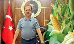 Hasat başladı fiyat açıklanmadı!