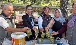 Orman Köylüsüne hibe desteği