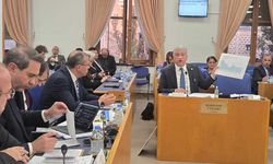 "Elektrikte Devlet Desteği Fiilen Kaldırıldı!"