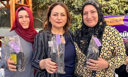 CHP’li Dr. Müzeyyen Şevkin, Zeytin Fidanı Dağıttı, Kampanya Başlattı