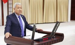 Millet Taneyle Zeytin Alıyor