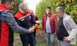 Adana'da Dolu Felaketinin Ardından Hasar Tespitine Başlandı