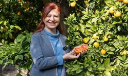 Mersin Kan Portakalı Coğrafi İşaret Tescilini Aldı