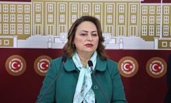 Şevkin: Jeoloji Ve Jeofizik Mühendisliği Mesleği Tehdit Altında!