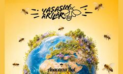 Anavarza Bal’dan Türkiye’de Bir İlk