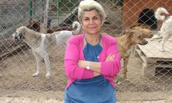 "Hayvanların Oyu Yok Ama Bizim Var"