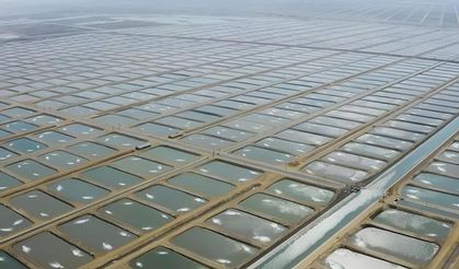 Karataş Su Ürünleri İhtisas OSB 5 Bin Kişiye İstihdam Sağlayacak