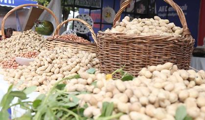 Yüreğir’in Fıstığı...