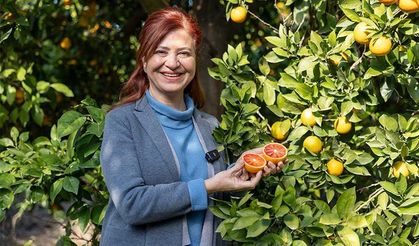 Mersin Kan Portakalı Coğrafi İşaret Tescilini Aldı