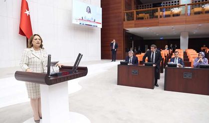 “Sömürge madenciliğine, yağmaya ve talana son verin!”