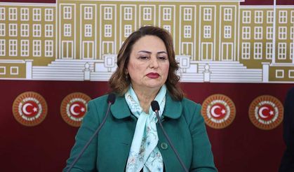Şevkin: Jeoloji Ve Jeofizik Mühendisliği Mesleği Tehdit Altında!