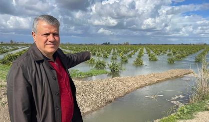 Barut: Üreticilerimizin Ve Vatandaşlarımızın Sesini Duyun