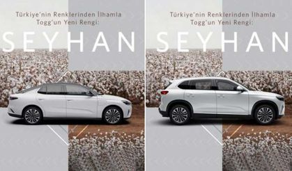 Togg’un Yeni Rengi Seyhan İle Tanışın