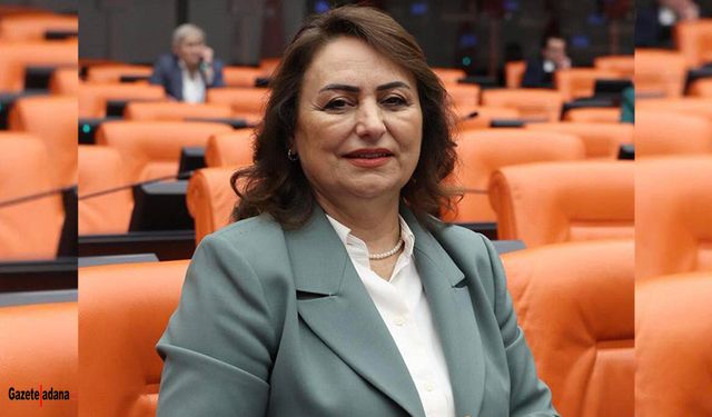 Çiftçinin, vatandaşın sulama ve yol sorunu meclis gündeminde