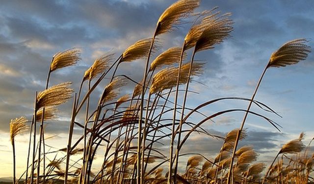 Meteoroloji'den Uyarı: Bu Bölgelerde Dikkat!