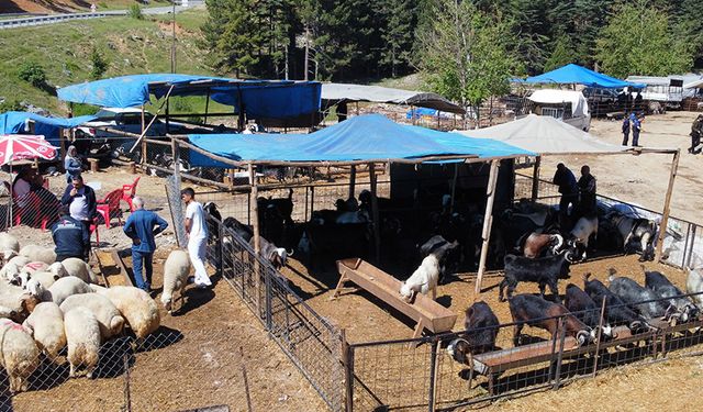 Pozantı Zabıtasından Geniş Çaplı Denetim