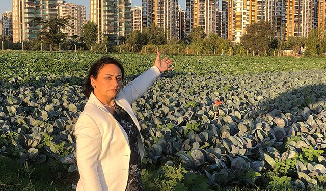 Tarım Ve Hayvancılık ‘Acil Durum Sinyali’ Veriyor!