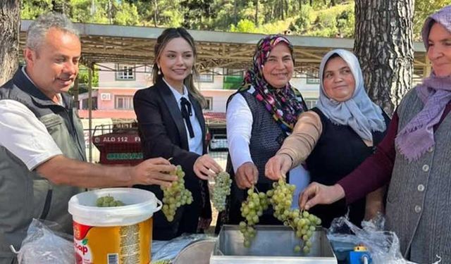 Orman Köylüsüne hibe desteği