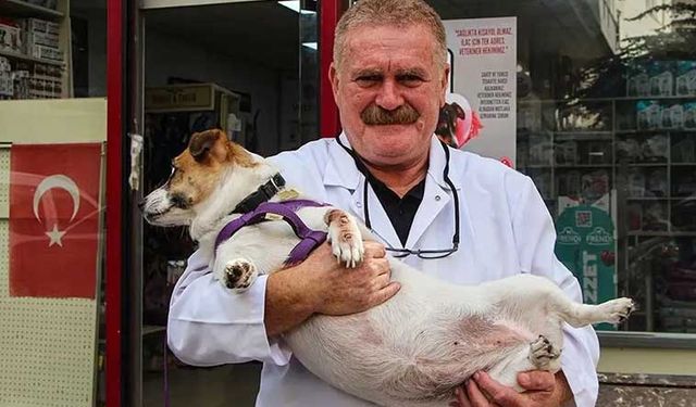 Nihat Köse hayatını kaybetti