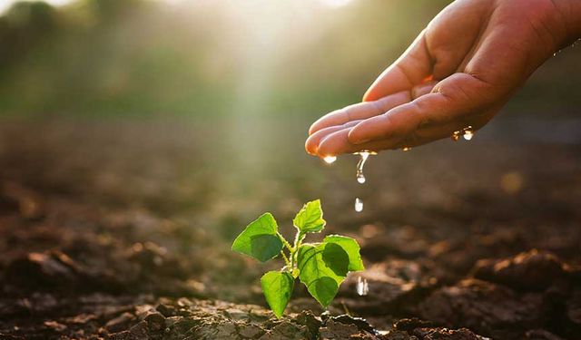 TEMA Vakfı: Toprak Yoksa Su, Su Yoksa Gıda Yok!