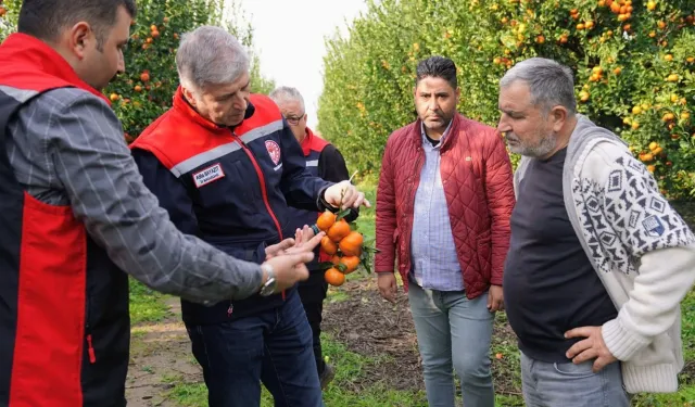 Adana'da Dolu Felaketinin Ardından Hasar Tespitine Başlandı