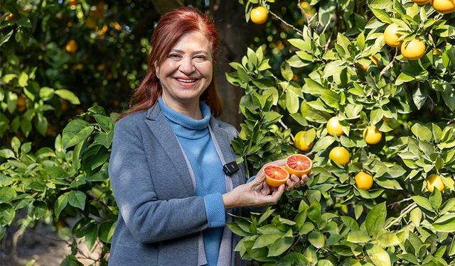 Mersin Kan Portakalı Coğrafi İşaret Tescilini Aldı