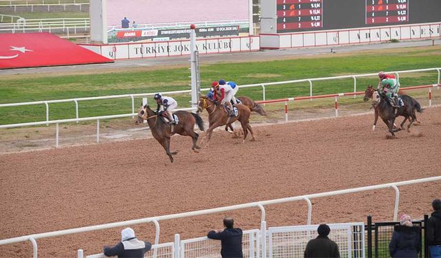 Seyhan Belediye Başkanlığı Koşusu’nu Hood River Kazandı