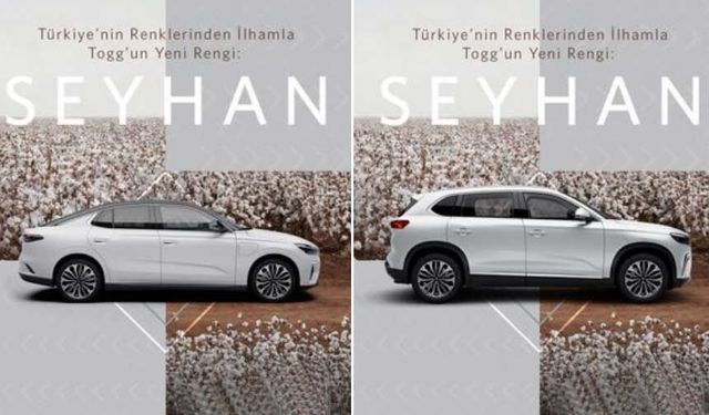 Togg’un Yeni Rengi Seyhan İle Tanışın