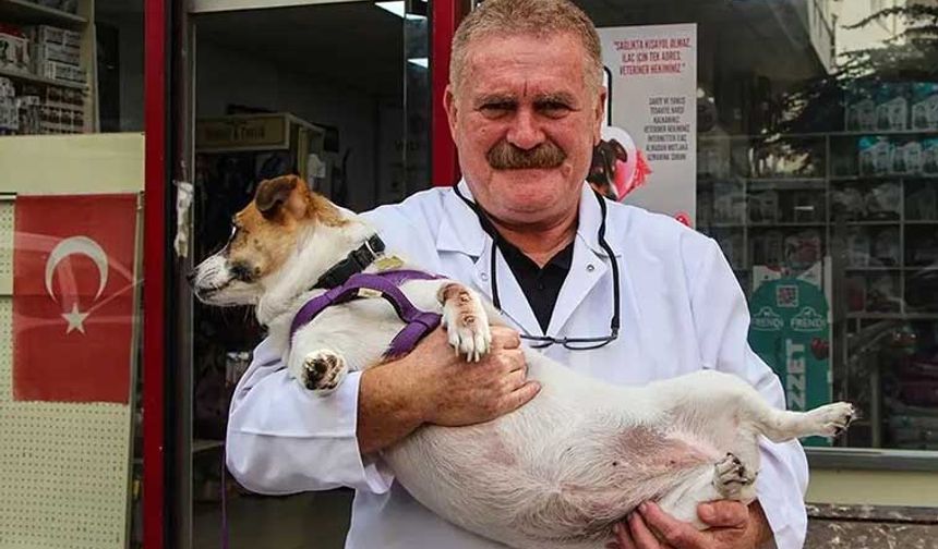 Nihat Köse hayatını kaybetti