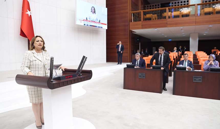 “Sömürge madenciliğine, yağmaya ve talana son verin!”