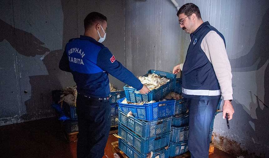 Adanalıya Yüzlerce Ölü Tavuğu Yedireceklerdi!