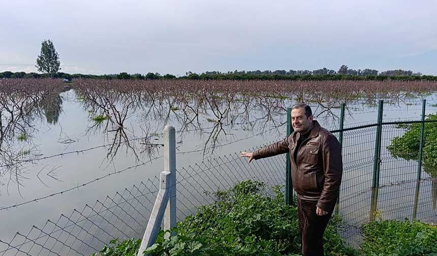 ÇUKUROVA TARIMI 2026’DA AŞIRI YAĞIŞLARIN BASKISI ALTINDA