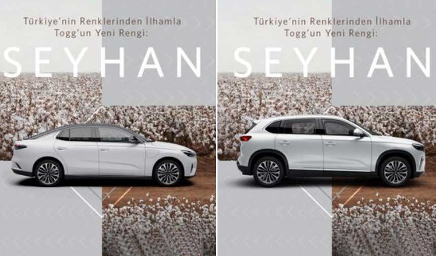 Togg’un Yeni Rengi Seyhan İle Tanışın