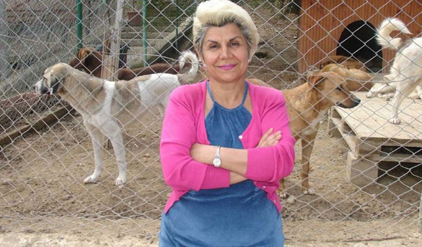 "Hayvanların Oyu Yok Ama Bizim Var"