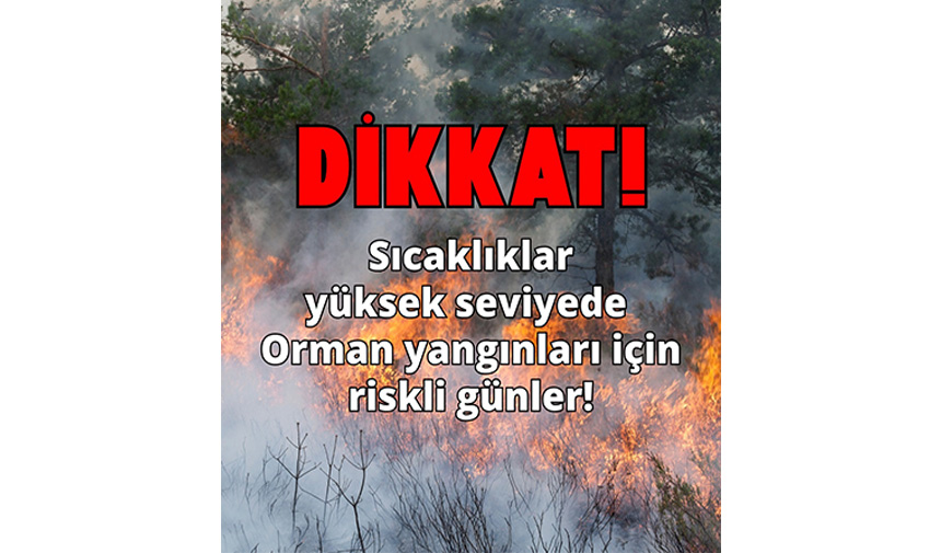 Orman Yangını 4