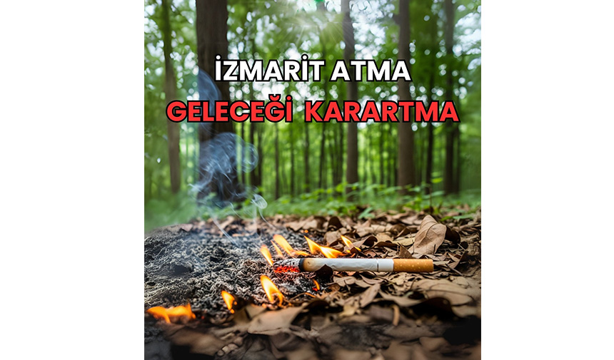 Orman Yangını 6