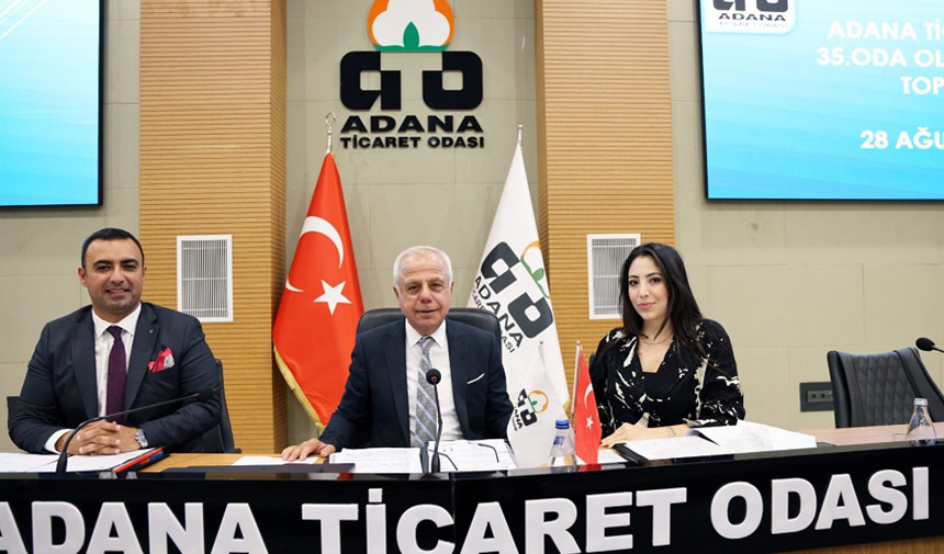 Ato Meclis 2