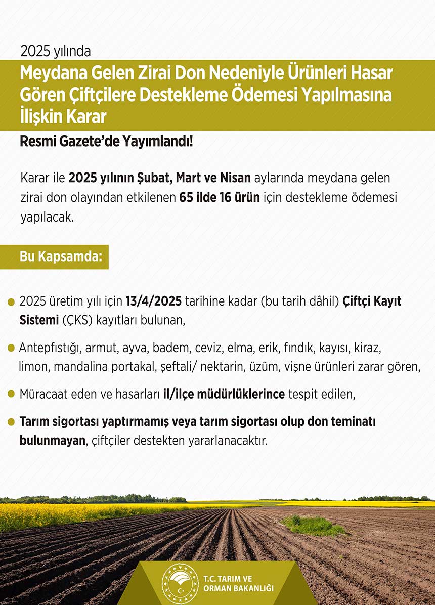 Resmi Gazete Cumhurbaskani Kararnamesi