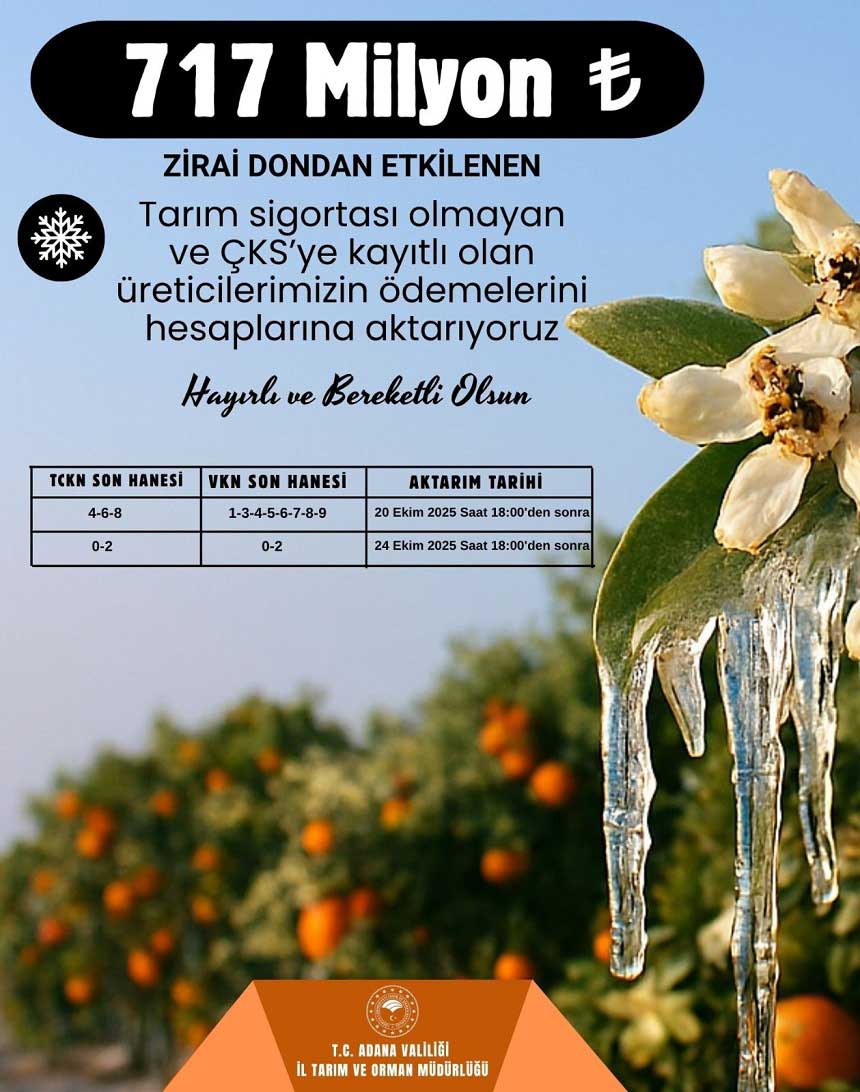 Destek 1