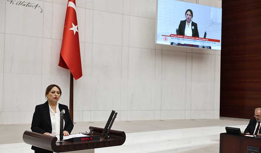 Müzeyyen Şevkin Ankara 1