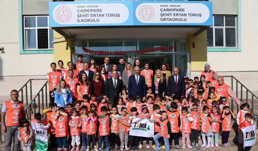 Tema Meşe Tupleme 1