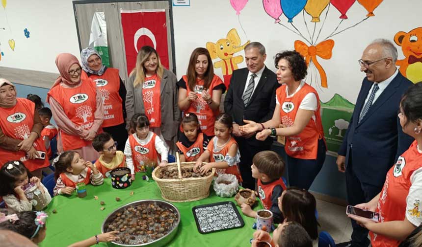 Tema Meşe Tupleme 2