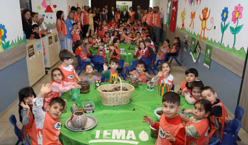 Tema Meşe Tupleme 3