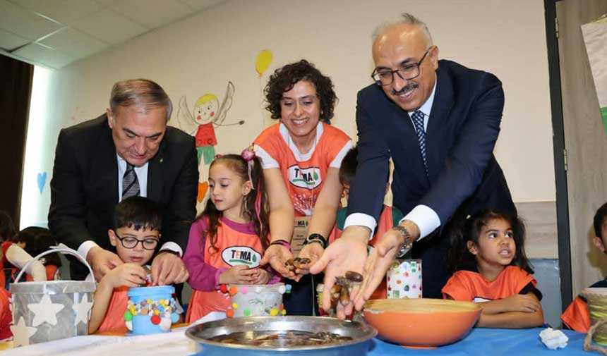 Tema Meşe Tupleme 4